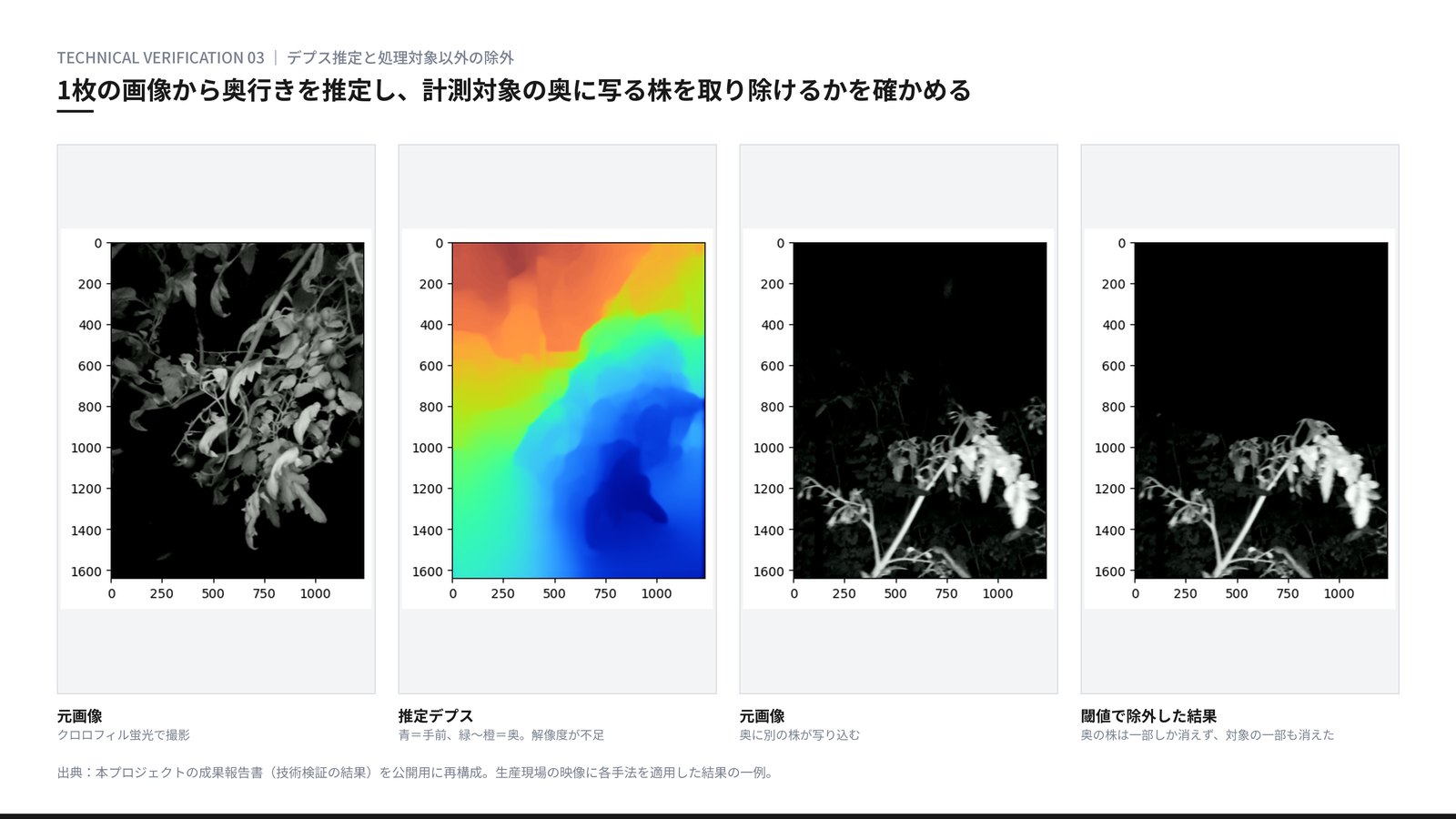 検証結果 デプス推定と処理対象の除外。クロロフィル蛍光で撮影した元画像、単眼デプス推定モデルが出力した奥行きの推定画像、デプスの閾値で奥の株を除外した結果。